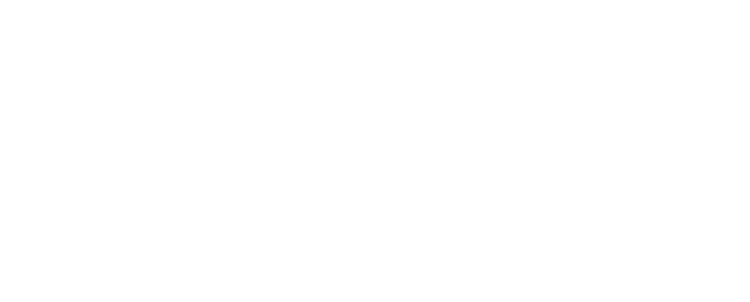 ARAS Group